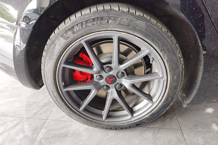 Used Tesla Model 3 2022 Rear-Wheel-Drive Version Exterior 5