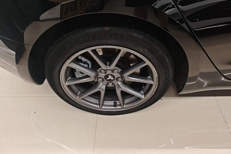 Used Tesla Model 3 2022 Rear-Wheel-Drive Version Exterior 5