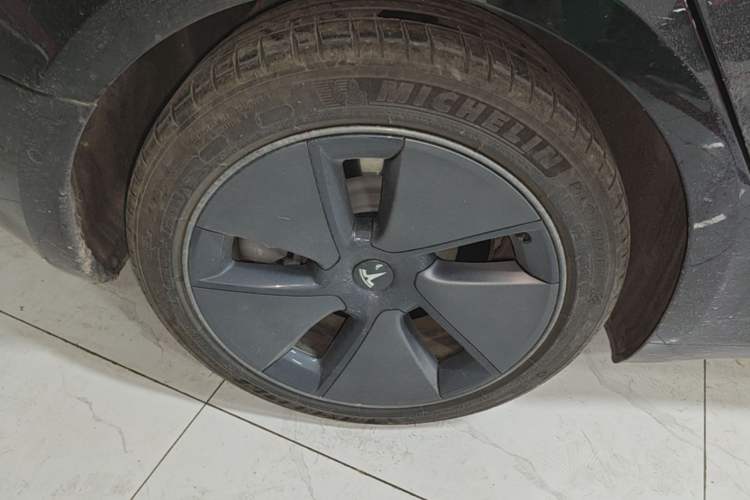 Used Tesla Model 3 2022 Rear-Wheel-Drive Version Exterior 5