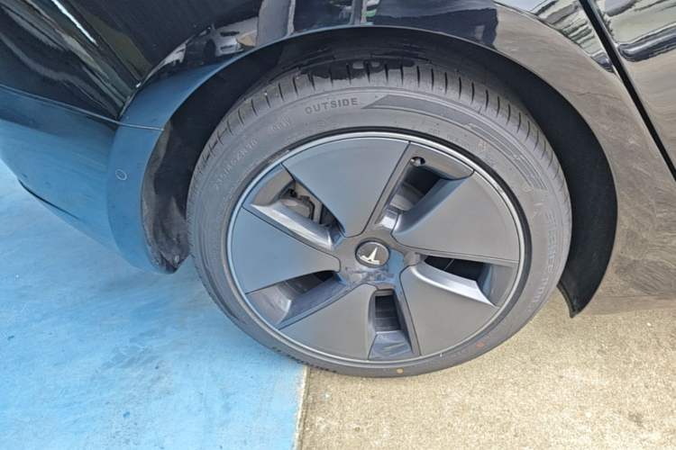 Used Tesla Model 3 2022 Rear-Wheel-Drive Version Exterior 5