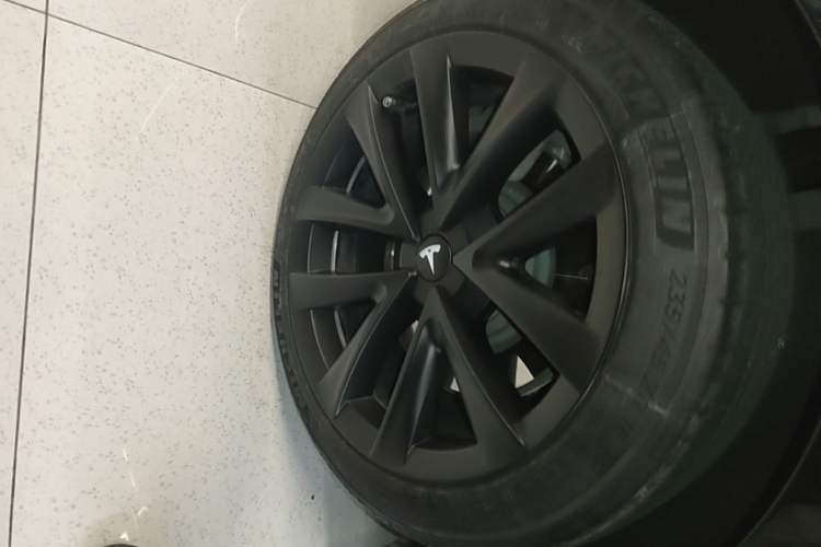 Used Tesla Model 3 2022 Rear-Wheel-Drive Version Exterior 5