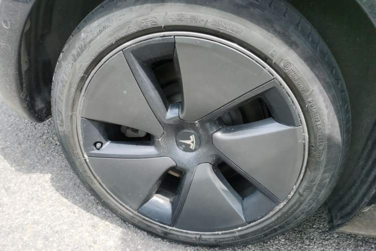 Used Tesla Model 3 2022 Rear-Wheel-Drive Version Exterior 5