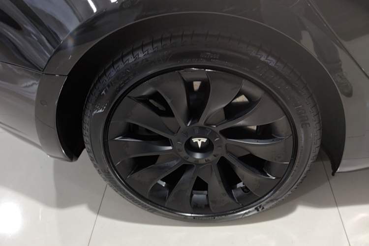 Used Tesla Model 3 2022 Rear-Wheel-Drive Version Exterior 5