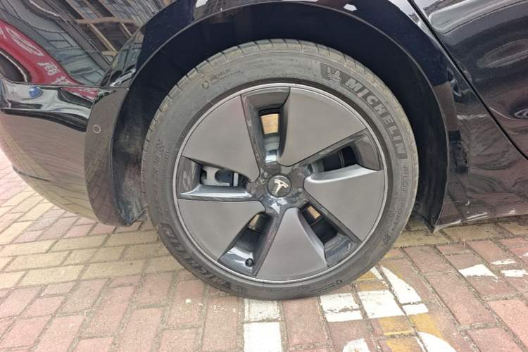 Used Tesla Model 3 2022 Rear-Wheel-Drive Version Exterior 5