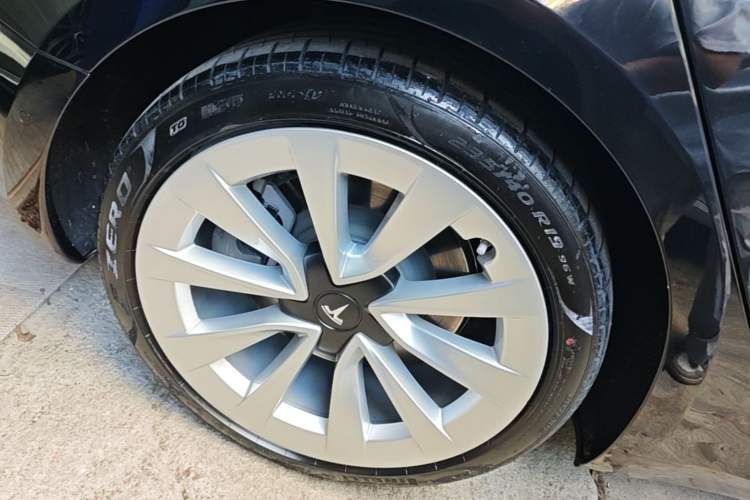 Used Tesla Model 3 2022 Rear-Wheel-Drive Version Exterior 5