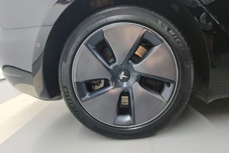 Used Tesla Model 3 2022 Rear-Wheel-Drive Version Exterior 5