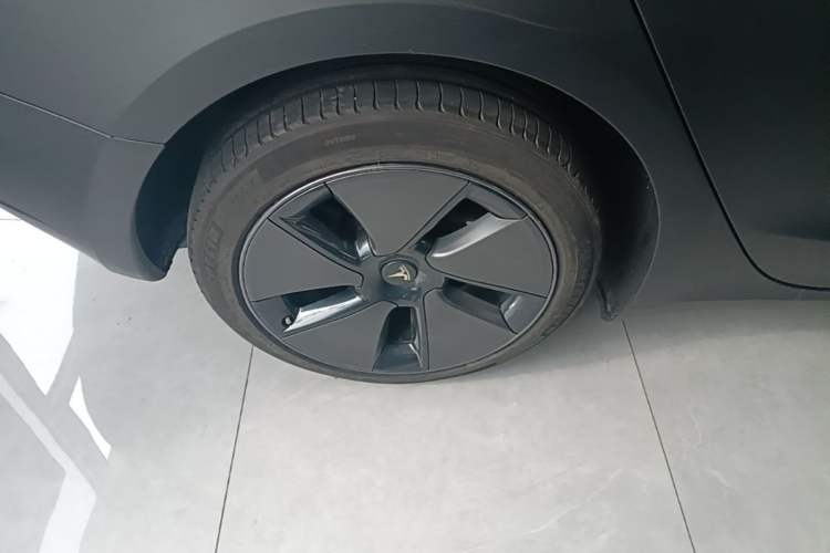 Used Tesla Model 3 2022 Rear-Wheel-Drive Version Exterior 5