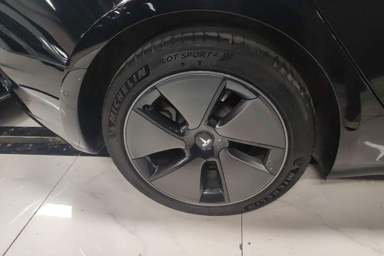 Used Tesla Model 3 2022 Rear-Wheel-Drive Version Exterior 5