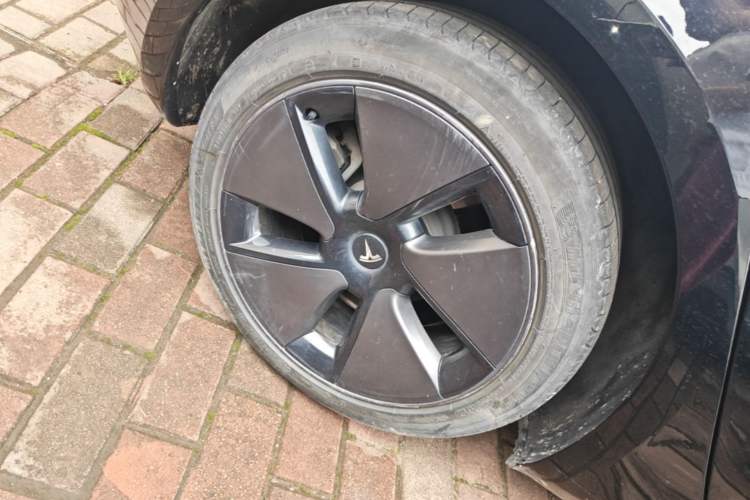 Used Tesla Model 3 2022 Rear-Wheel-Drive Version Exterior 5