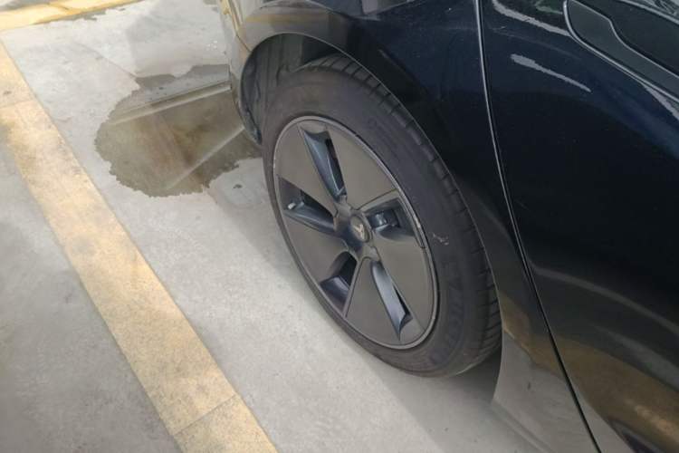 Used Tesla Model 3 2022 Rear-Wheel-Drive Version Exterior 5