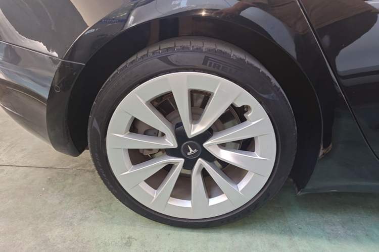 Used Tesla Model 3 2022 Rear-Wheel-Drive Version Exterior 5