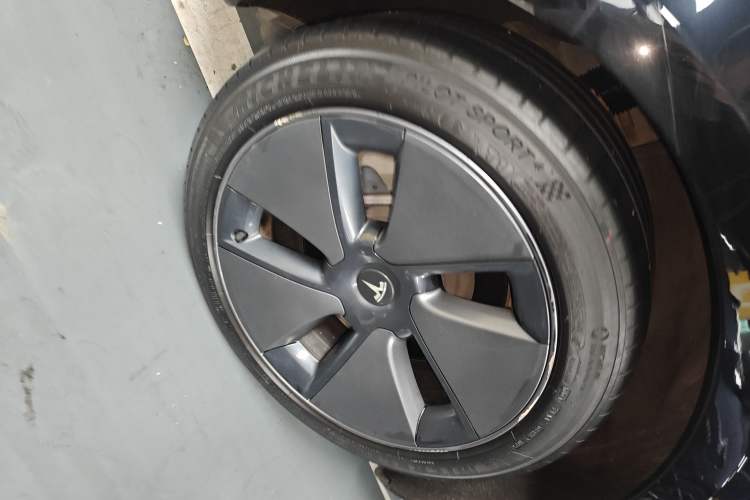 Used Tesla Model 3 2022 Rear-Wheel-Drive Version Exterior 5