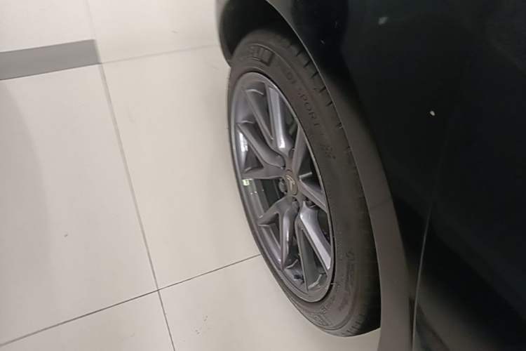 Used Tesla Model 3 2022 Rear-Wheel-Drive Version Exterior 5