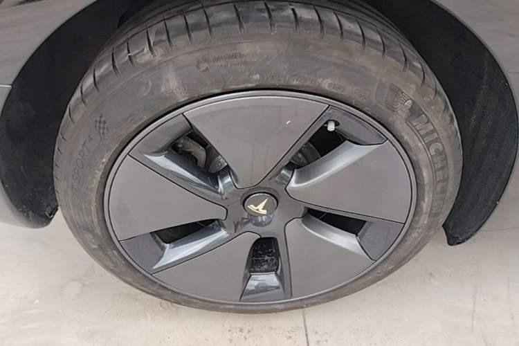 Used Tesla Model 3 2022 Rear-Wheel-Drive Version Exterior 5
