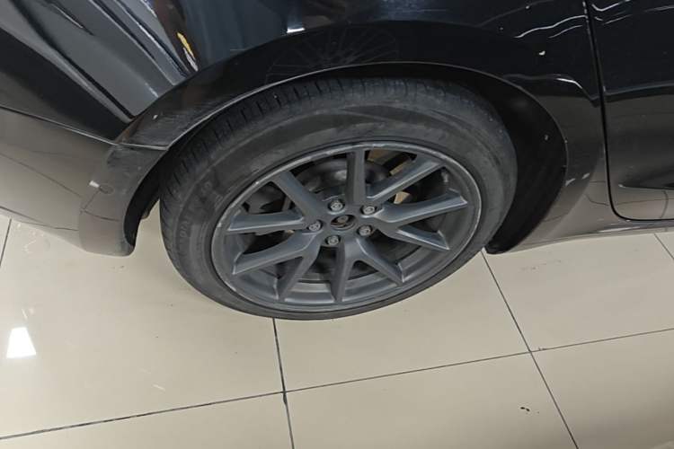 Used Tesla Model 3 2022 Rear-Wheel-Drive Version Exterior 5