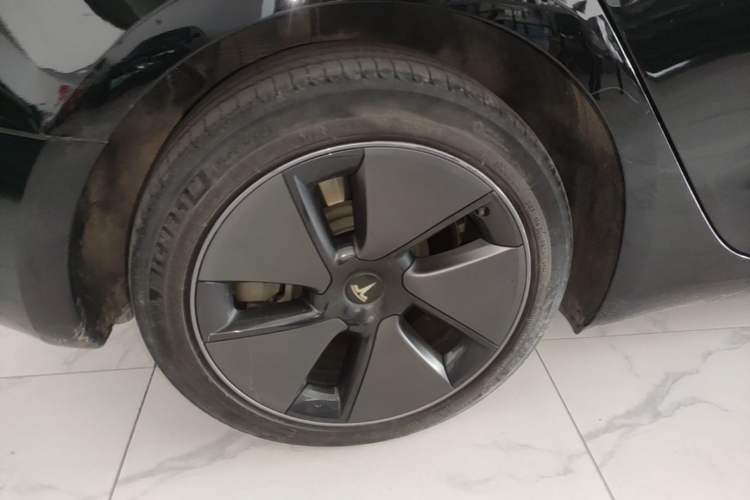 Used Tesla Model 3 2022 Rear-Wheel-Drive Version Exterior 5