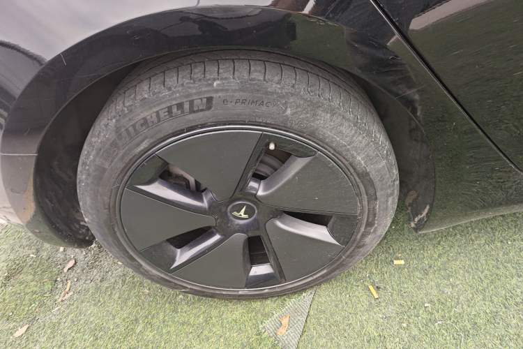 Used Tesla Model 3 2022 Rear-Wheel-Drive Version Exterior 5