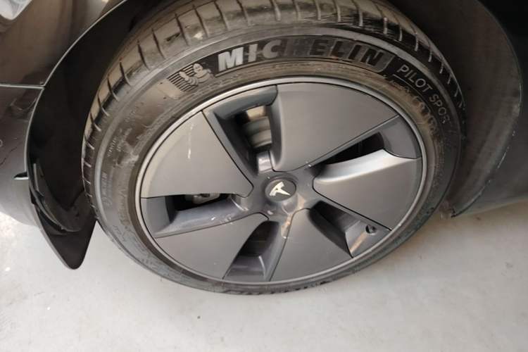 Used Tesla Model 3 2022 Rear-Wheel-Drive Version Exterior 5