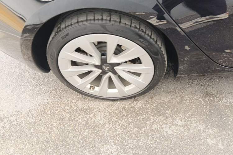 Used Tesla Model 3 2022 Rear-Wheel-Drive Version Exterior 5