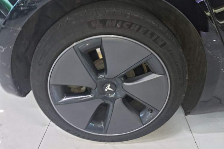 Used Tesla Model 3 2022 Rear-Wheel-Drive Version Exterior 5