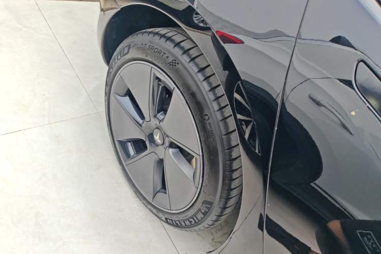 Used Tesla Model 3 2022 Rear-Wheel-Drive Version Exterior 5