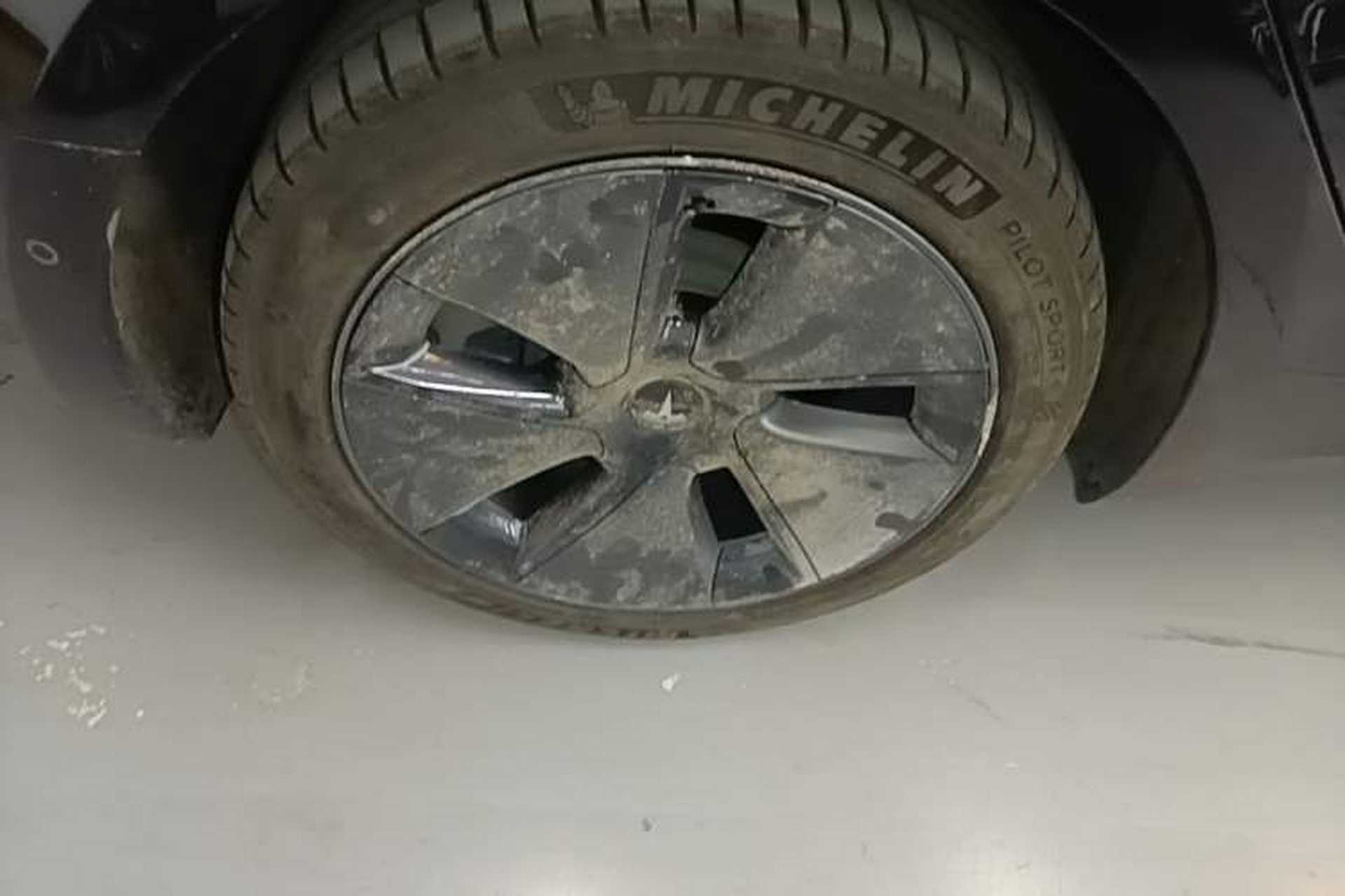 Used Tesla Model 3 2022 Rear-Wheel-Drive Version Exterior 5