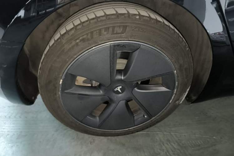 Used Tesla Model 3 2022 Rear-Wheel-Drive Version Exterior 5