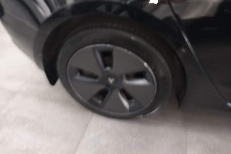 Used Tesla Model 3 2022 Rear-Wheel-Drive Version Exterior 5