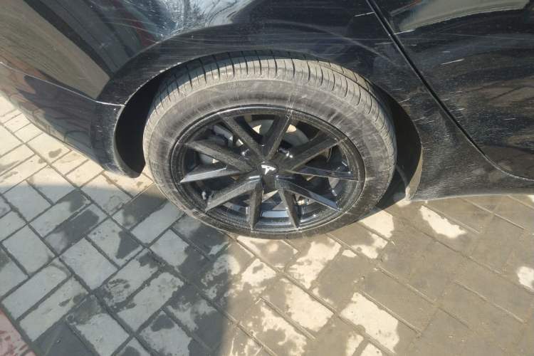 Used Tesla Model 3 2022 Rear-Wheel-Drive Version Exterior 5
