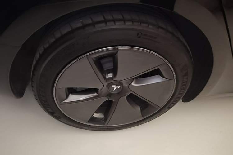 Used Tesla Model 3 2022 Rear-Wheel-Drive Version Exterior 5