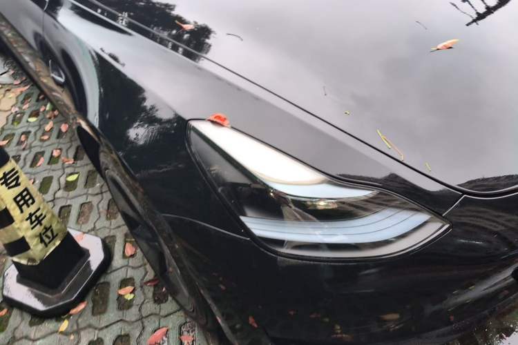 Used Tesla Model 3 2022 Rear-Wheel-Drive Version Exterior 6