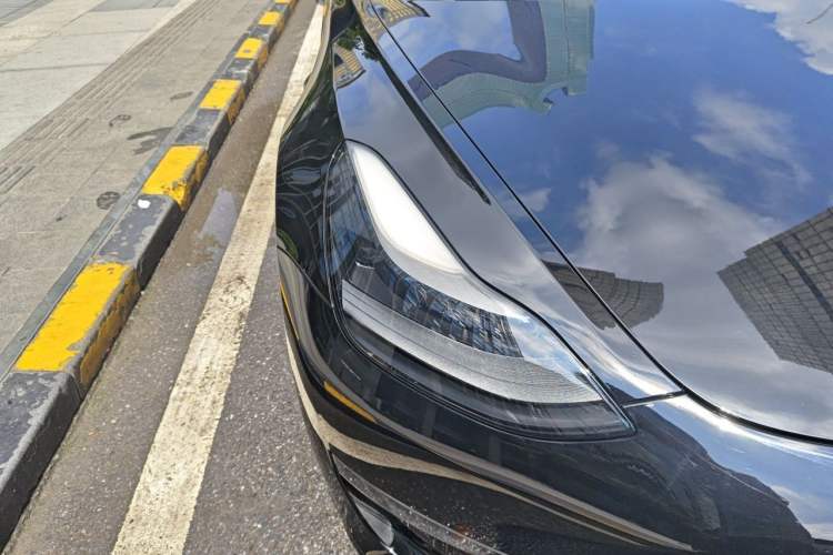 Used Tesla Model 3 2022 Performance High-Performance All-Wheel-Drive Version Exterior 6