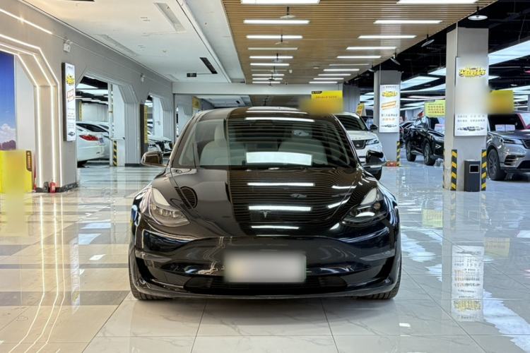 Used Tesla Model 3 2022 Performance High-Performance All-Wheel-Drive Version Exterior 6