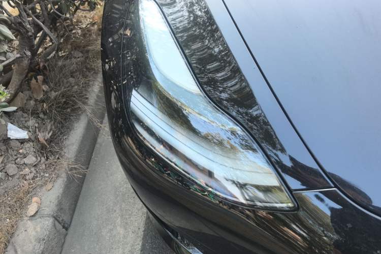 Used Tesla Model 3 2022 Rear-Wheel-Drive Version Exterior 6