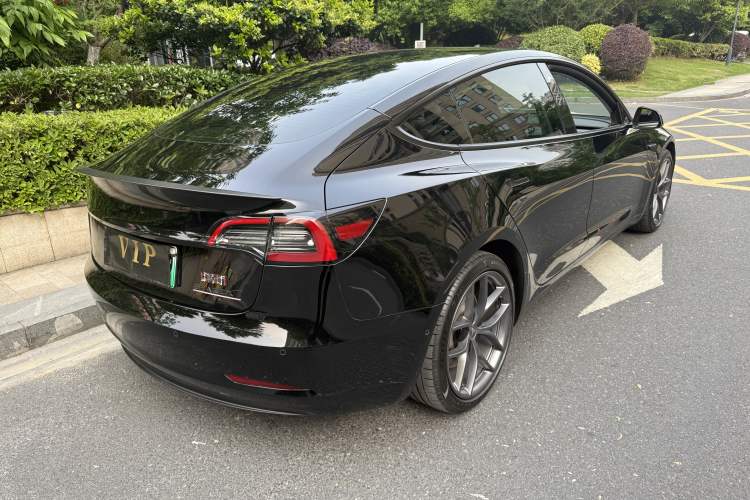 Used Tesla Model 3 2022 Performance High-Performance All-Wheel-Drive Version Exterior 6