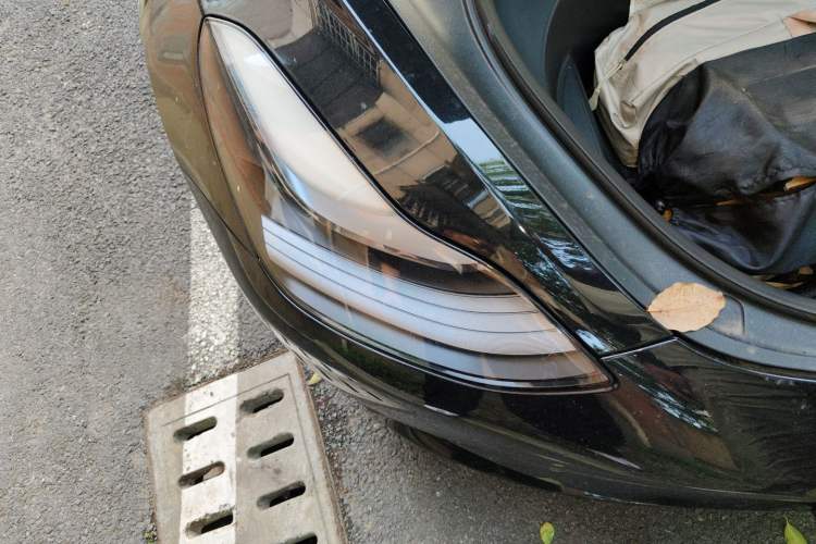 Used Tesla Model 3 2022 Rear-Wheel-Drive Version Exterior 6