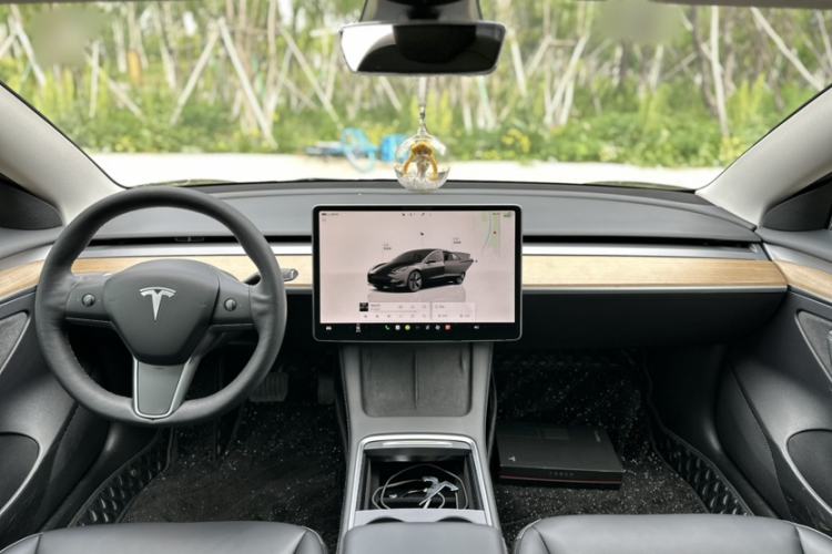 Used Tesla Model 3 2022 Rear-Wheel-Drive Version Exterior 6
