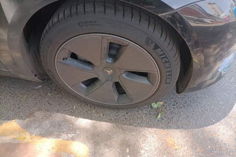 Used Tesla Model 3 2022 Rear-Wheel-Drive Version Exterior 7
