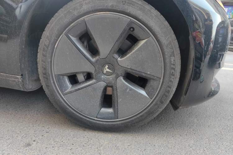 Used Tesla Model 3 2022 Rear-Wheel-Drive Version Exterior 7