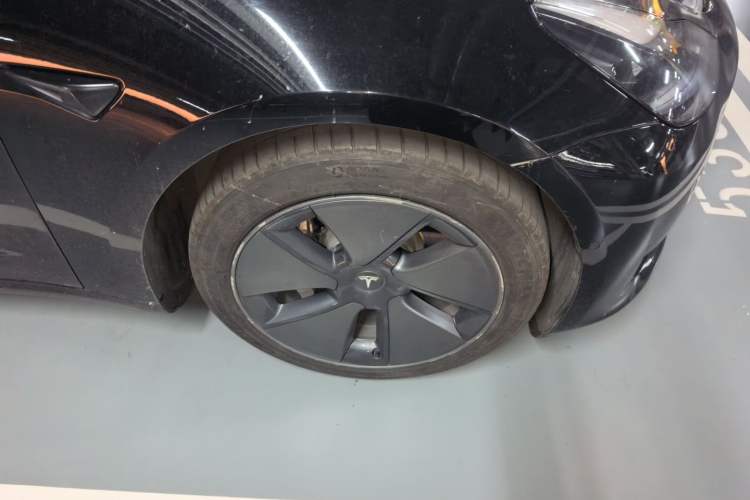 Used Tesla Model 3 2022 Rear-Wheel-Drive Version Exterior 7