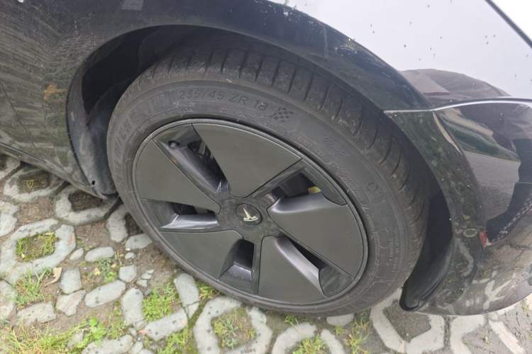 Used Tesla Model 3 2022 Rear-Wheel-Drive Version Exterior 7