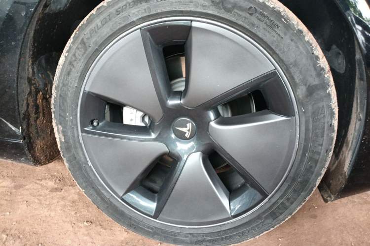 Used Tesla Model 3 2022 Rear-Wheel-Drive Version Exterior 7