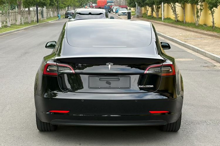 Used Tesla Model 3 2022 Performance High-Performance All-Wheel-Drive Version Exterior 7
