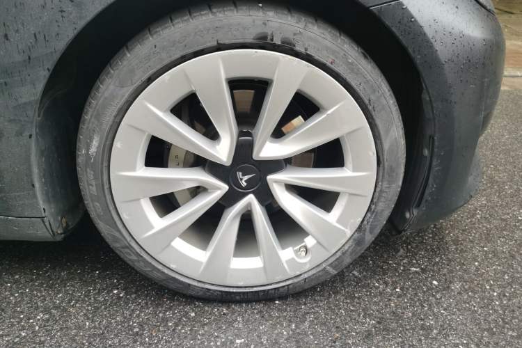 Used Tesla Model 3 2022 Rear-Wheel-Drive Version Exterior 7