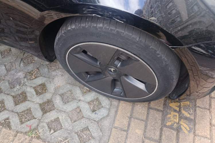 Used Tesla Model 3 2022 Rear-Wheel-Drive Version Exterior 7