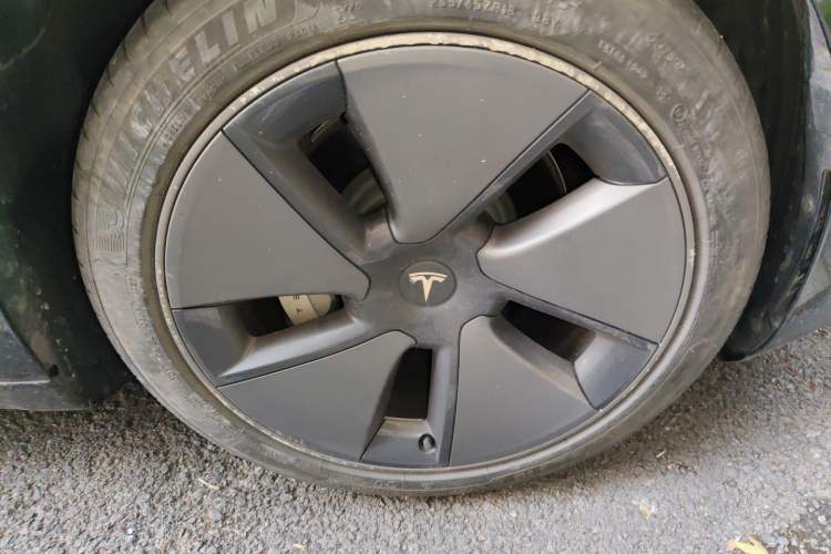 Used Tesla Model 3 2022 Rear-Wheel-Drive Version Exterior 7