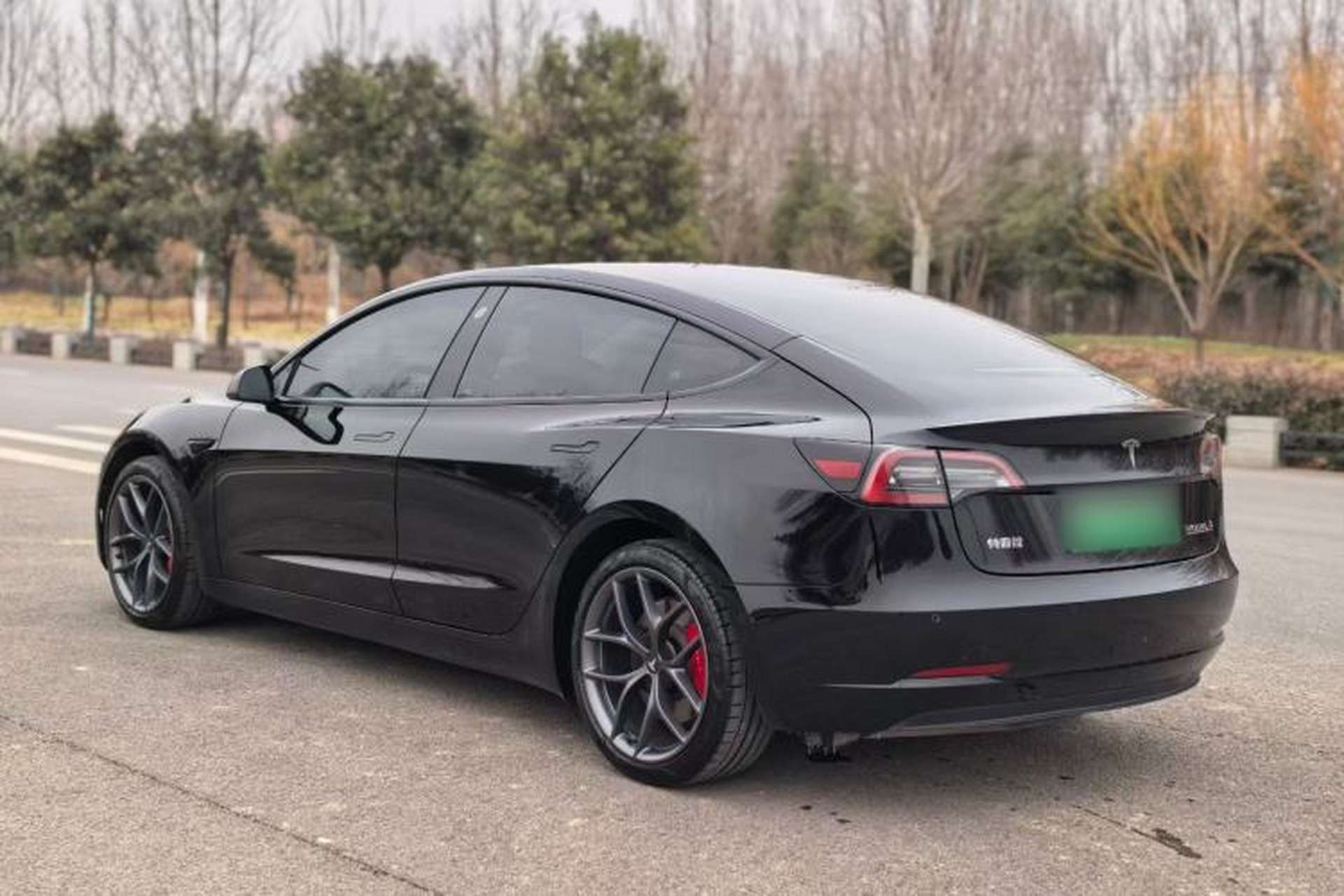 Used Tesla Model 3 2022 Performance High-Performance All-Wheel-Drive Version Exterior 8