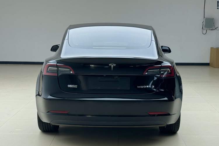 Used Tesla Model 3 2022 Rear-Wheel-Drive Version Exterior 8