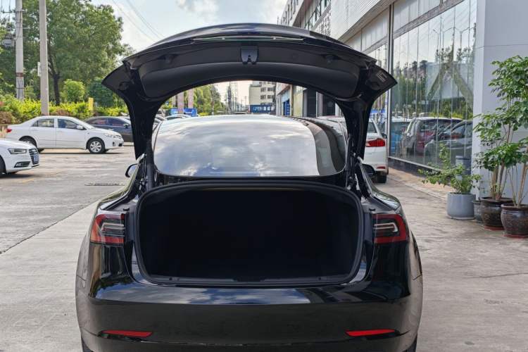 Used Tesla Model 3 2022 Rear-Wheel-Drive Version Exterior 8