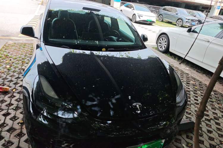 Used Tesla Model 3 2022 Rear-Wheel-Drive Version Front